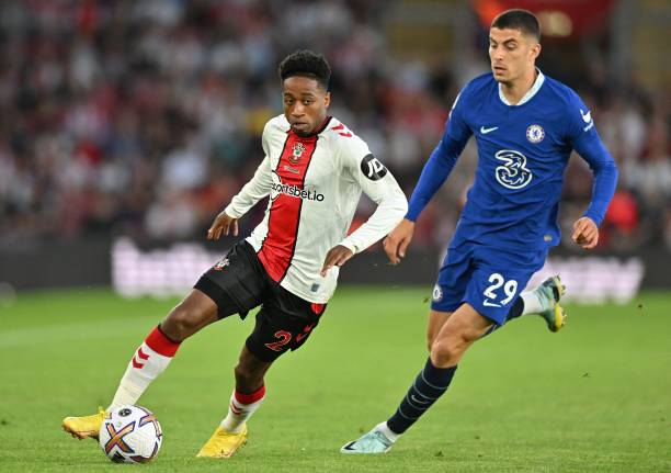 本菲卡旨在 本菲卡旨在